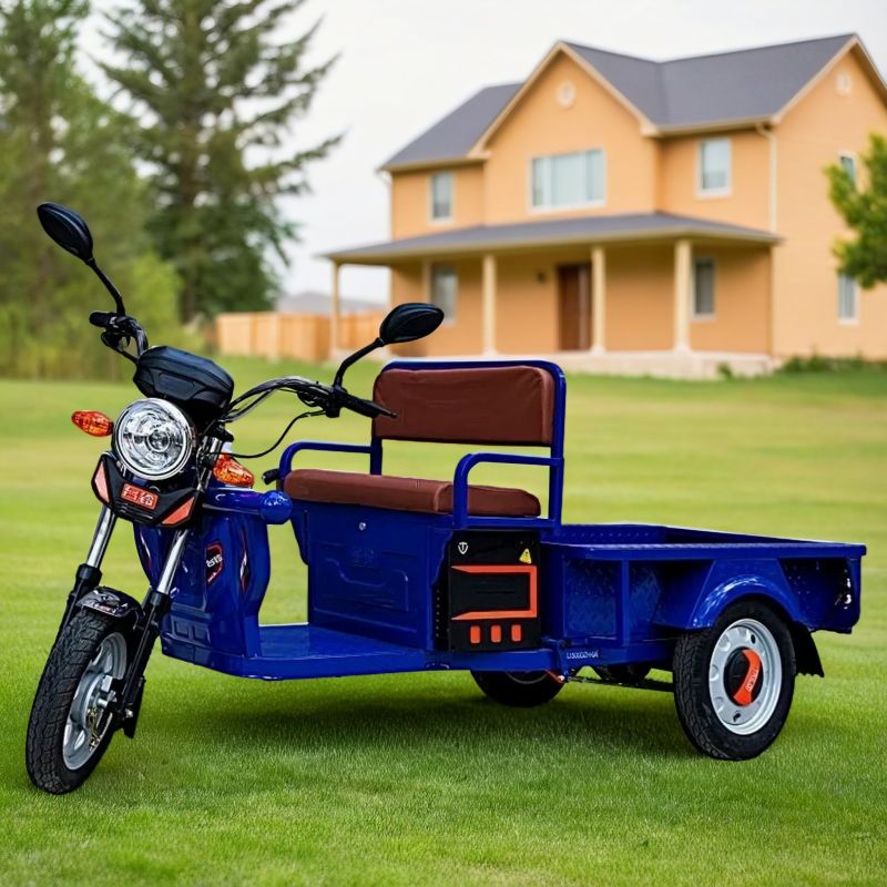 Купить электротрицикл в Минске и Беларуси — каталог Electrotransport.by